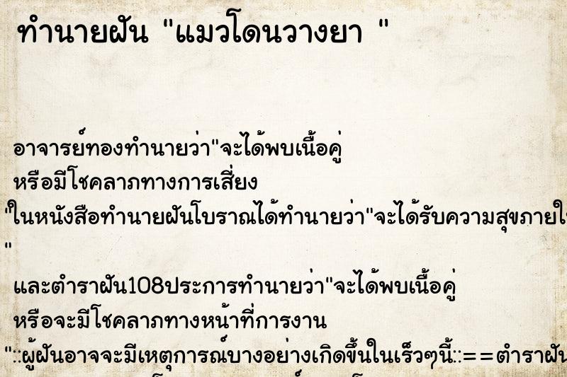 ทำนายฝัน แมวโดนวางยา 